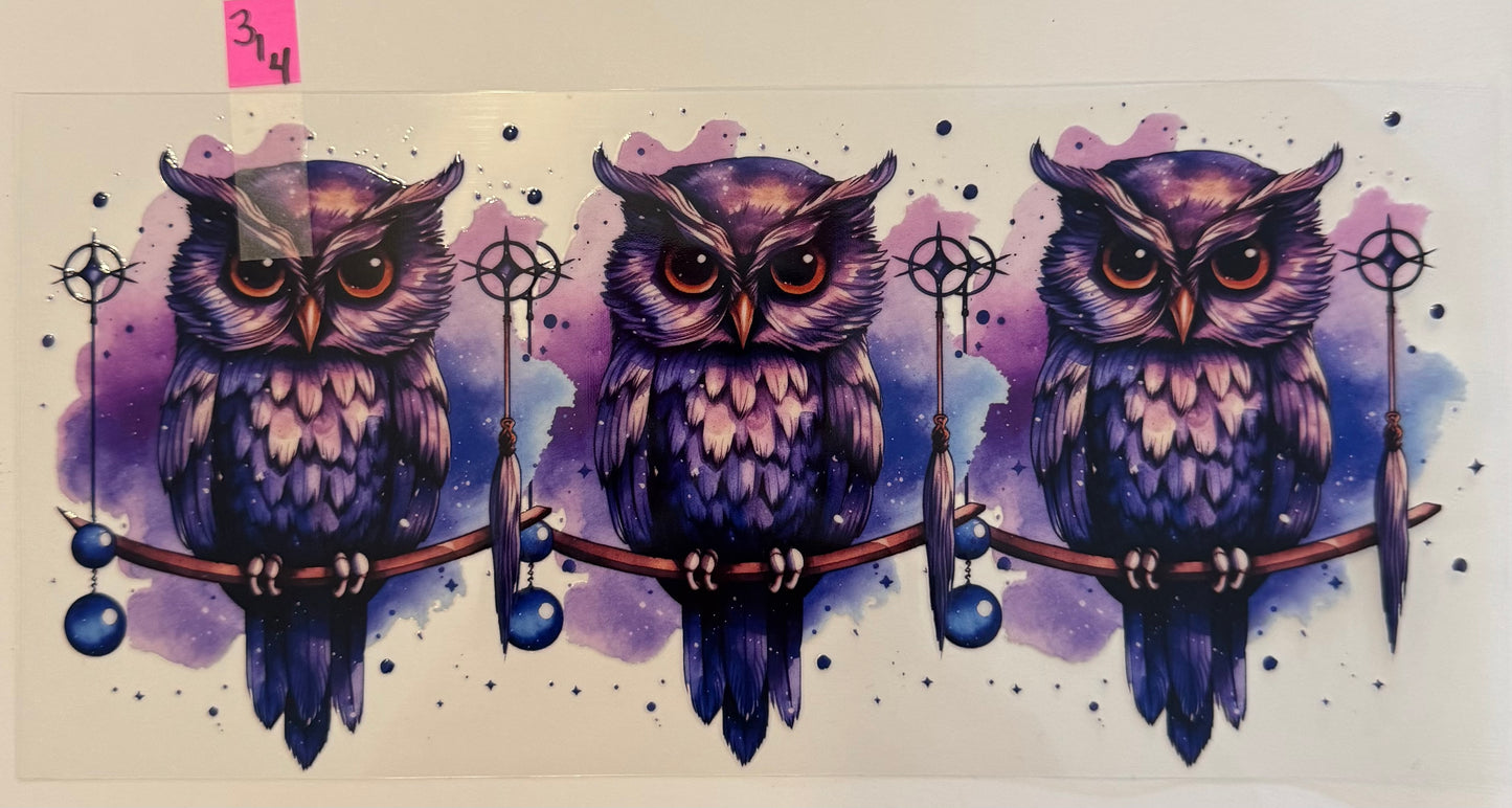 Owls - W314
