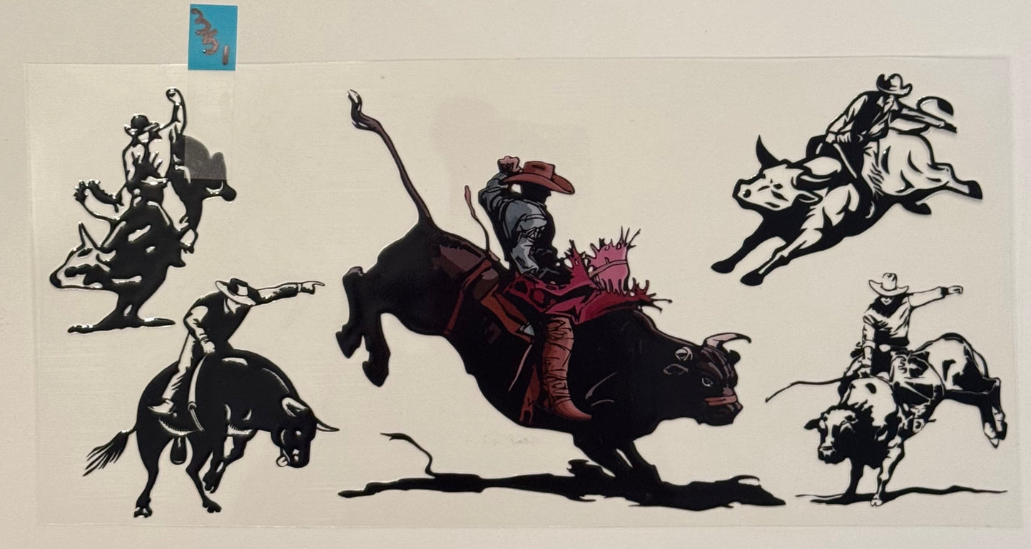 Bull Rider - W351