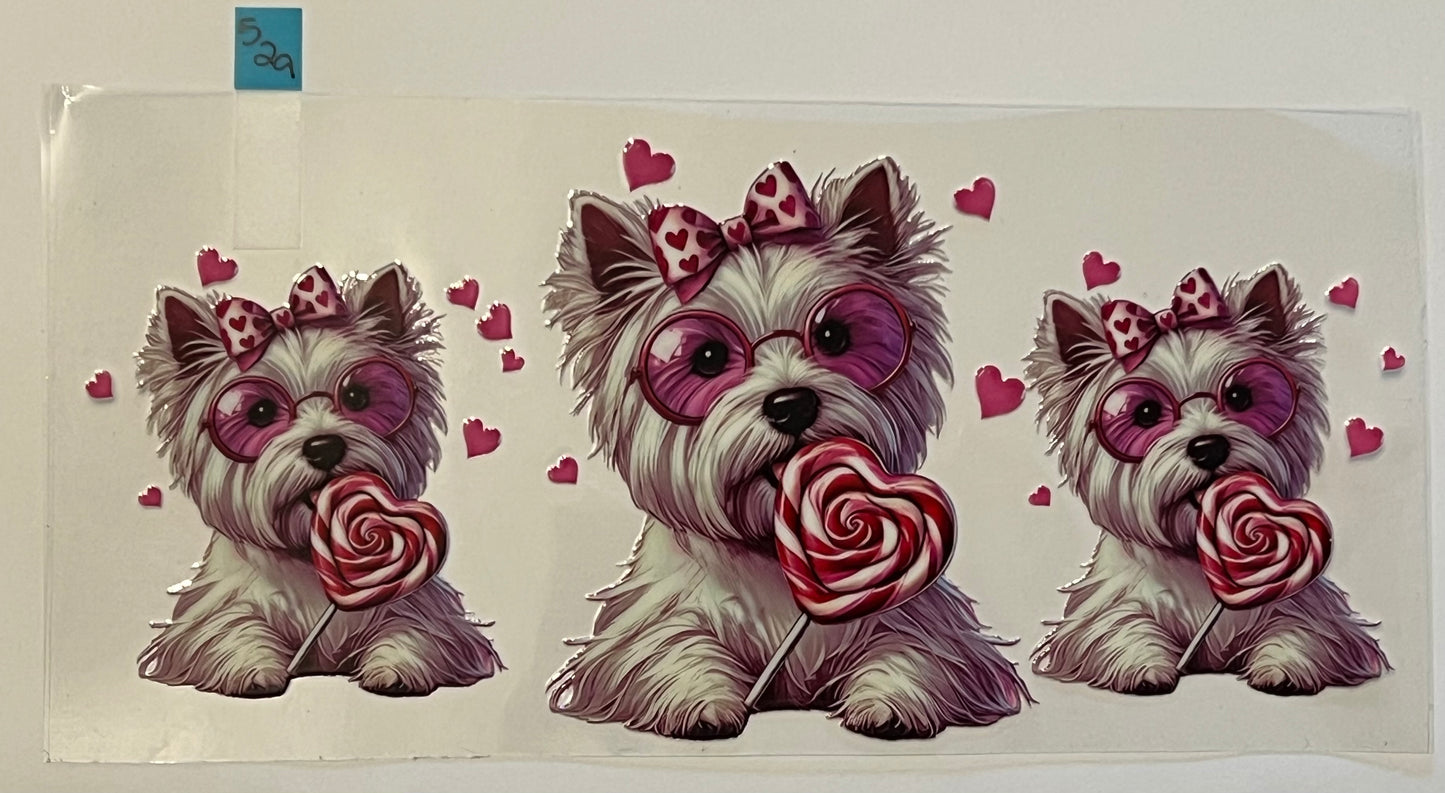 Yorkie Valentine - W529