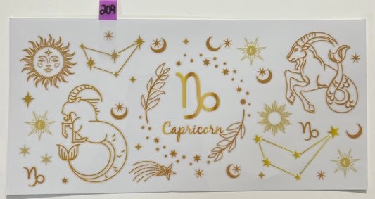 Capricorn/ Zodiac - W209