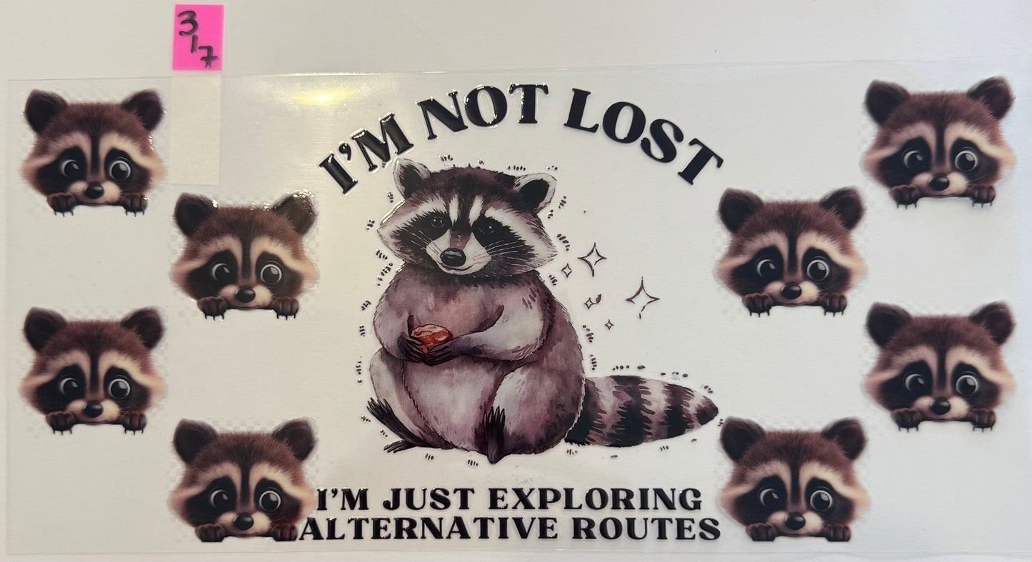 Racoon, I'm Not Lost   - W317