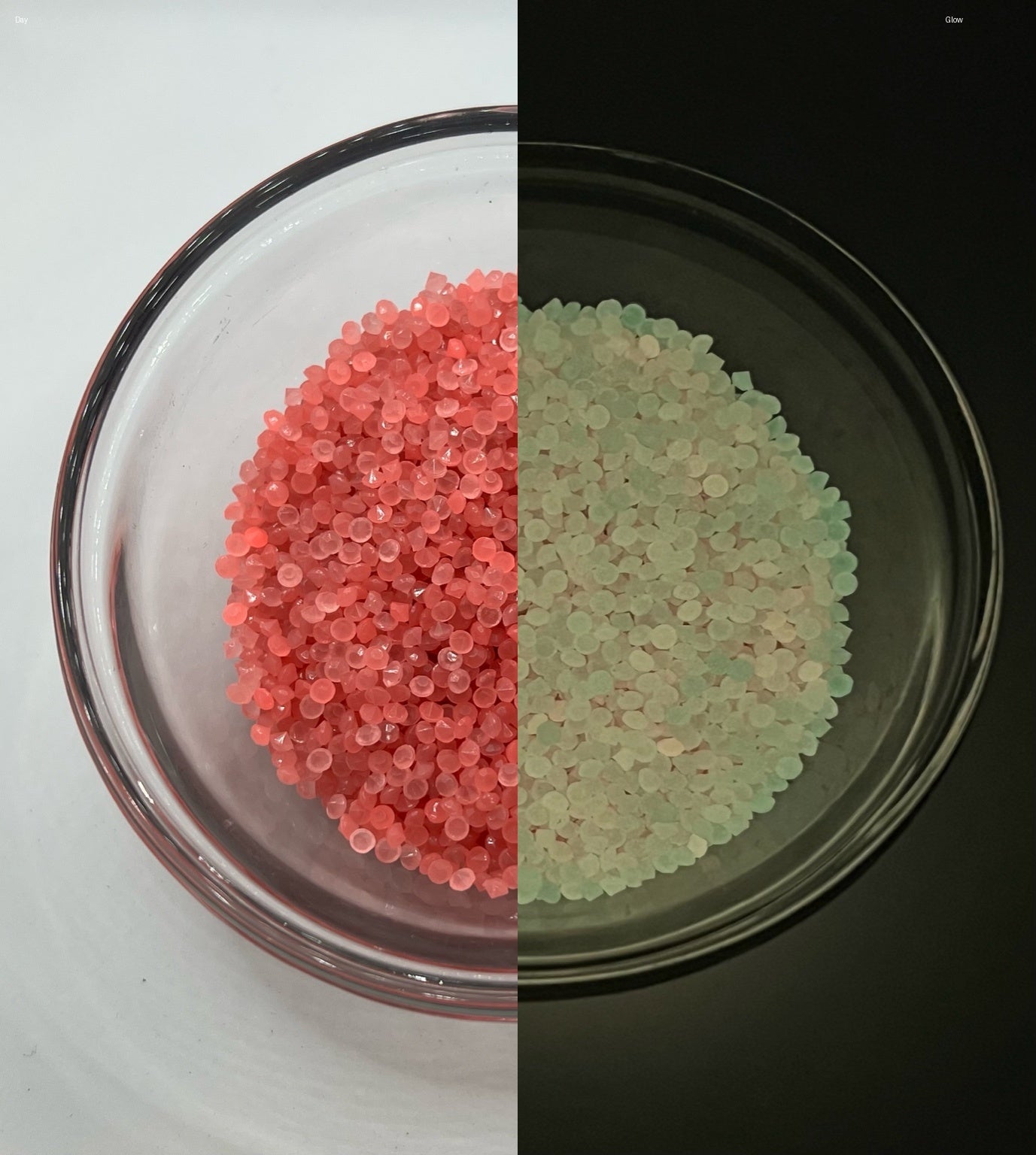 3mm Glow-in-the-Dark Diamond Cut Rhinestones – Coral Nova Glow