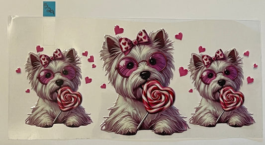 Yorkie Valentine - W529