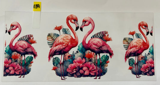 Flamingos - W139
